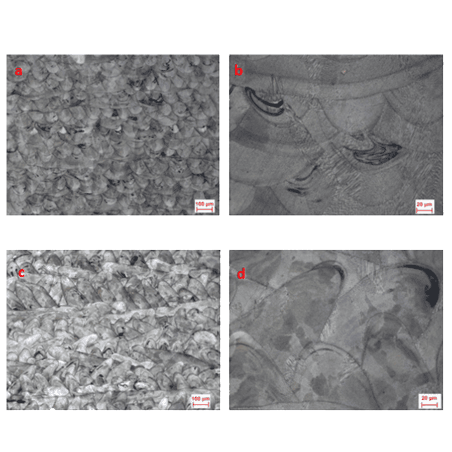 Estructura metalográfica de la sección de impresión In626 SLM