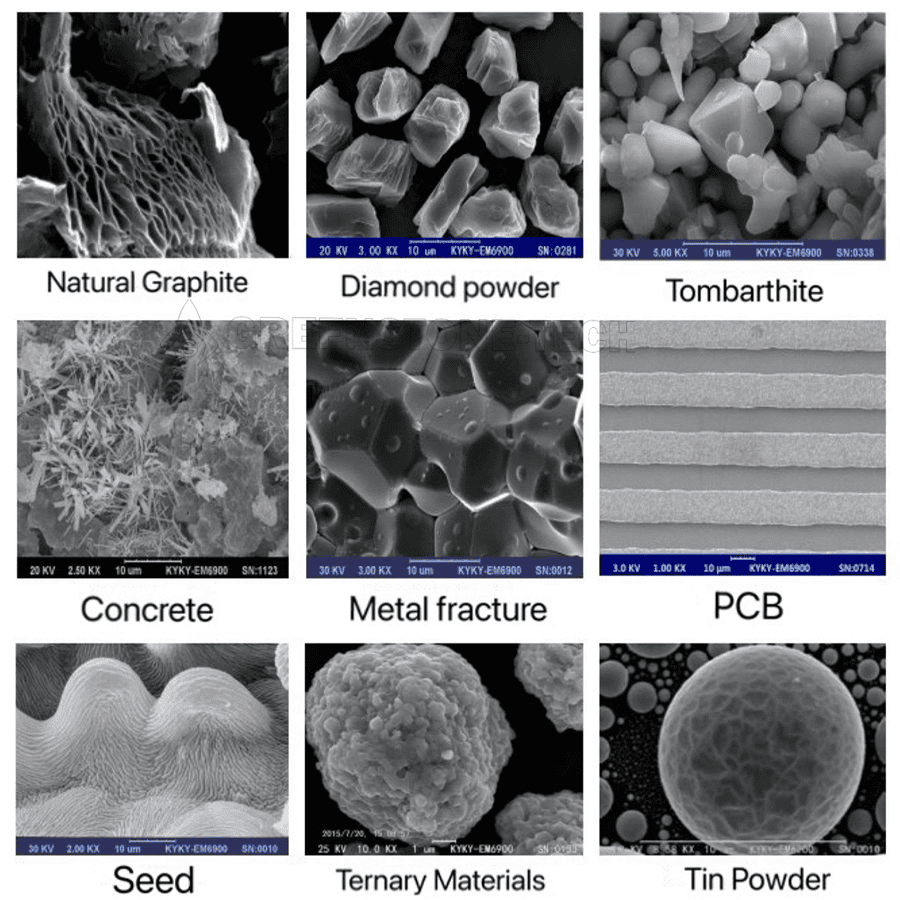 Scanning Electron Microscope (SEM) images showing diverse material structures for microstructural analysis and material characterization