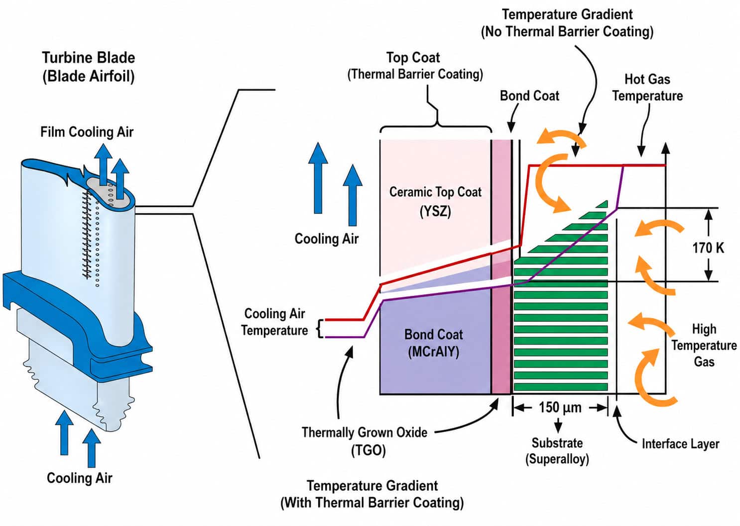 Typical Structure of a Thermal Barrier Coating (TBC)